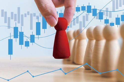 市場(chǎng)出清與巨頭入場(chǎng) 小貸行業(yè)在洗牌中重塑信息咨詢(xún)服務(wù)